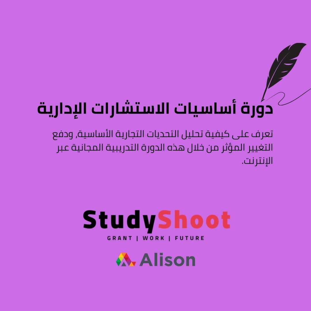 دورة أساسيات الاستشارات الإدارية