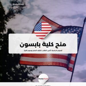 منحة كلية بابسون