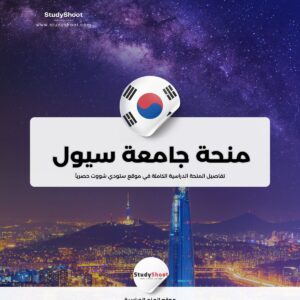 منحة جامعة سيول