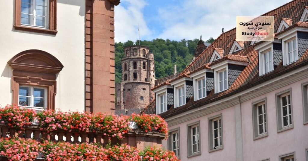 منحة جامعة بوتسدام