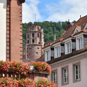 منحة جامعة بوتسدام