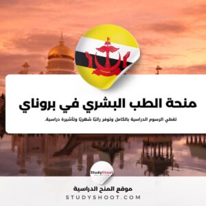 منحة الطب البشري بجامعة بروناي