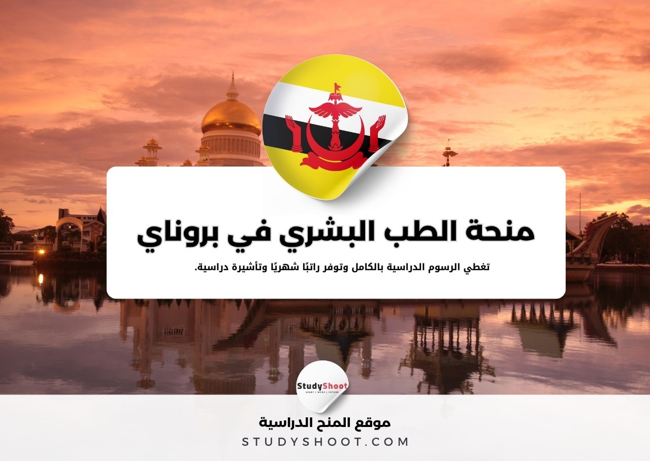 منحة الطب البشري بجامعة بروناي