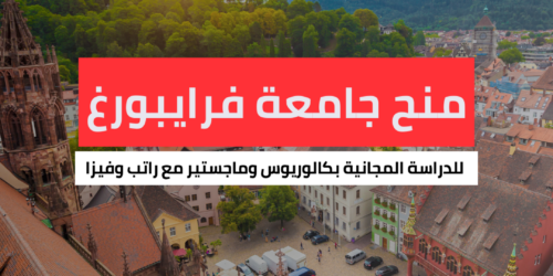 منح جامعة فرايبورغ
