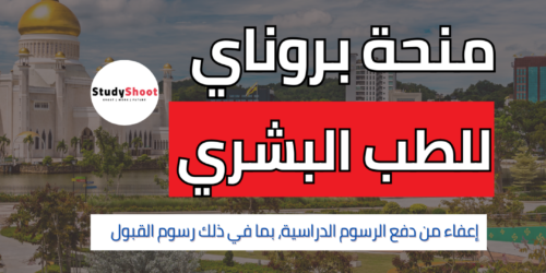 منحة الطب البشري بجامعة بروناي