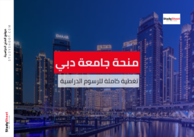 منحة جامعة دبي