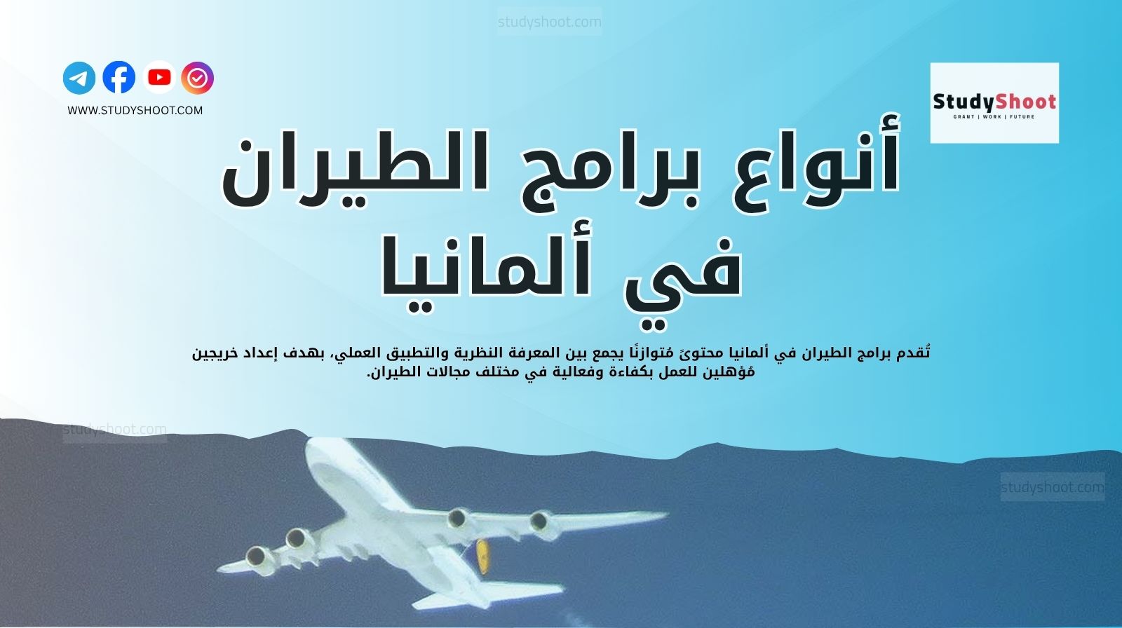 أنواع برامج الطيران في ألمانيا