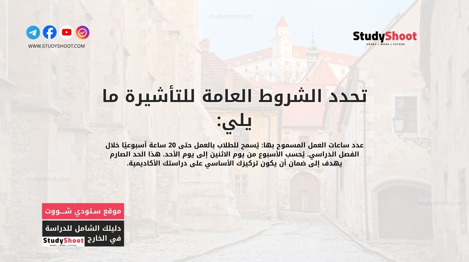 تحدد الشروط العامة للتأشيرة ما يلي: