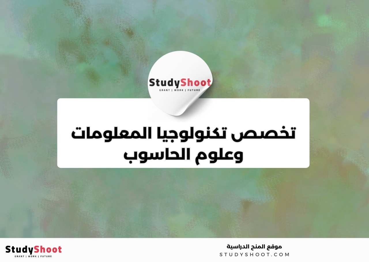 3. تخصص تكنولوجيا المعلومات وعلوم الحاسوب