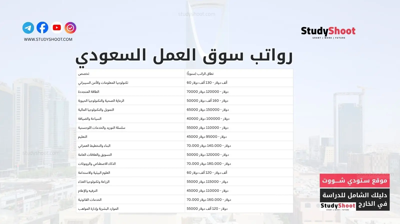 <strong>رواتب سوق العمل السعودي</strong>