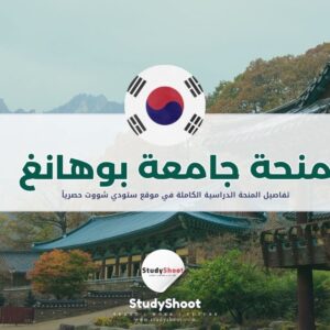 منحة جامعة بوهانغ