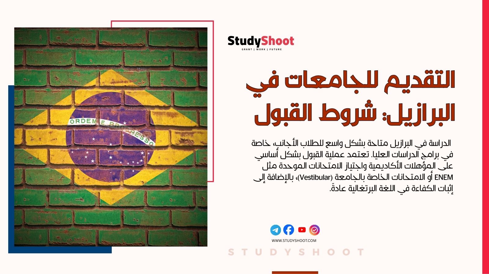 دليل التقديم للجامعات في البرازيل: شروط القبول والمنح