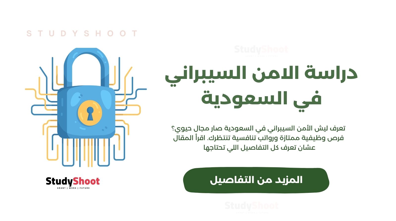 دراسة الامن السيبراني في السعودية