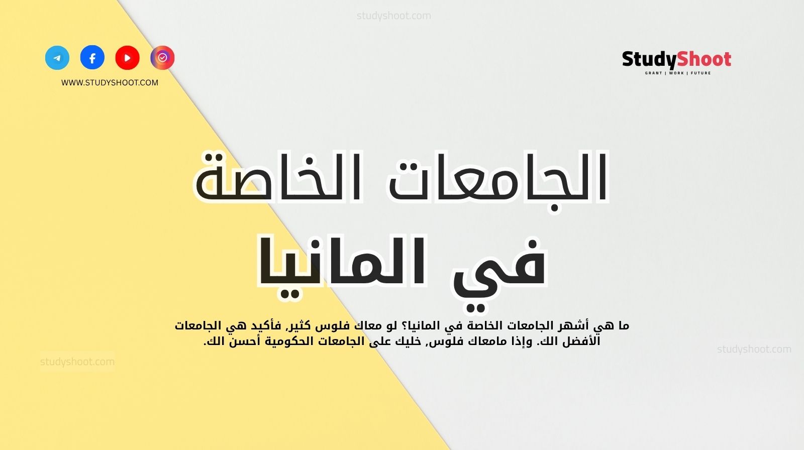 الجامعات الخاصة في المانيا