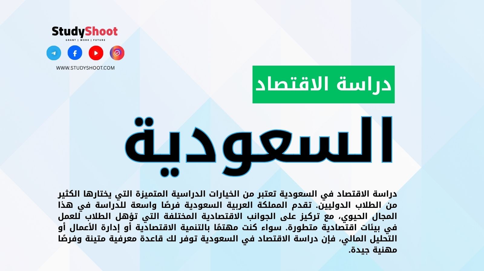 دراسة الاقتصاد في السعودية