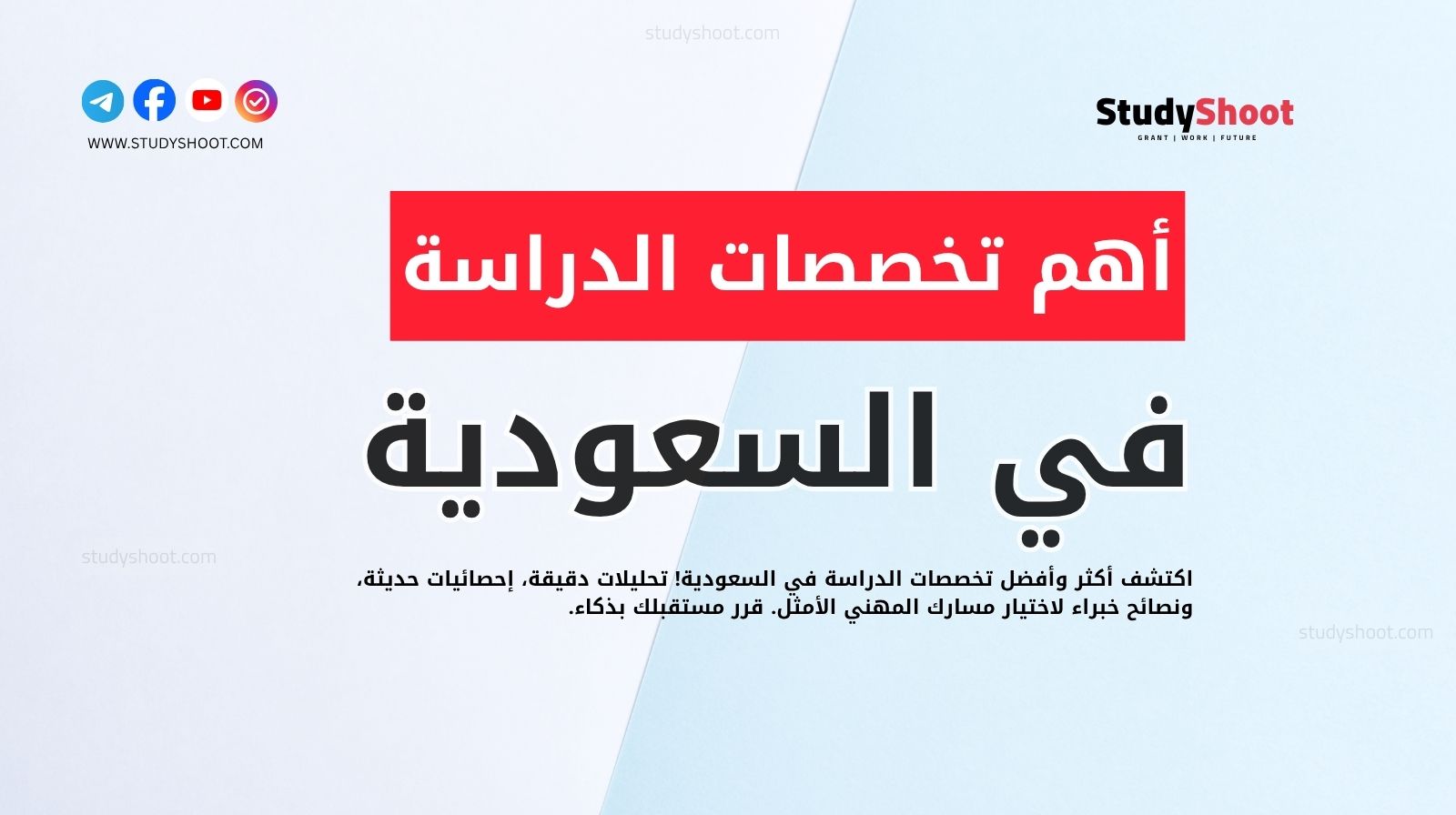 أهم تخصصات الدراسة في السعودية