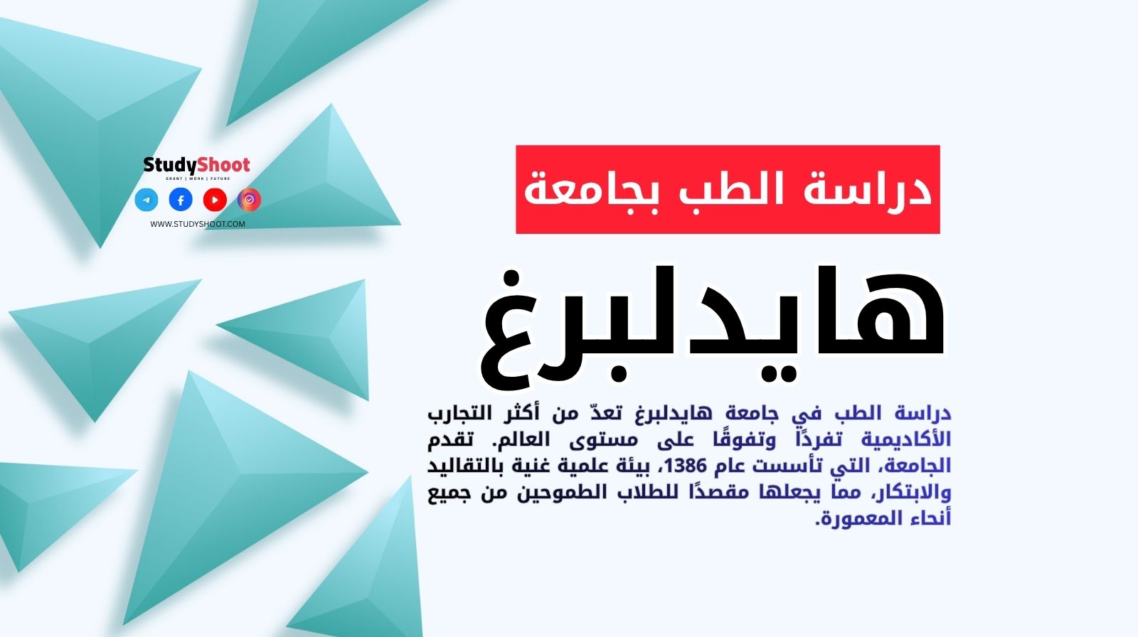 دراسة الطب بجامعة هايدلبرغ