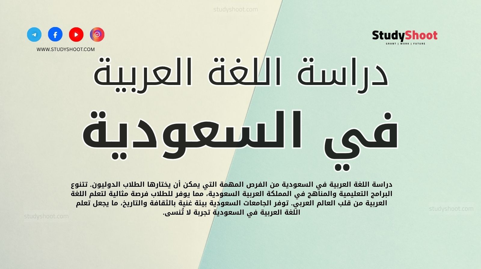 دراسة اللغة العربية في السعودية