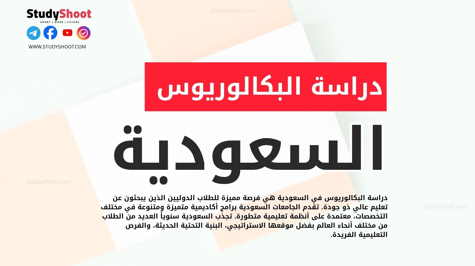 دراسة البكالوريوس في السعودية