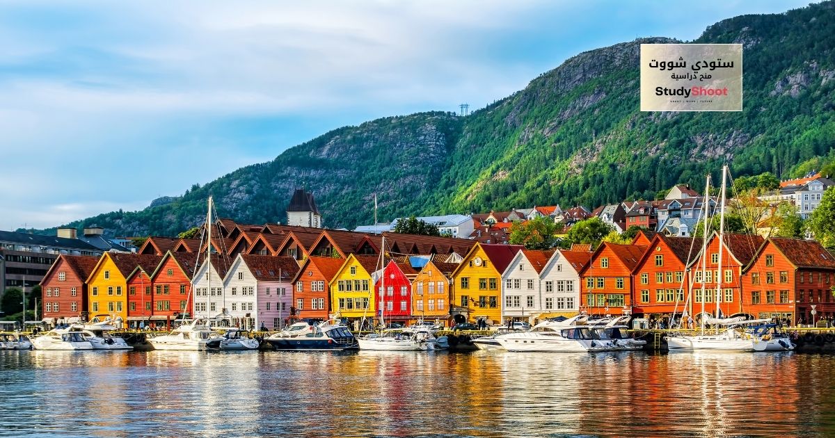 منحة جامعة بيرغن