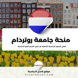 منحة جامعة روتردام