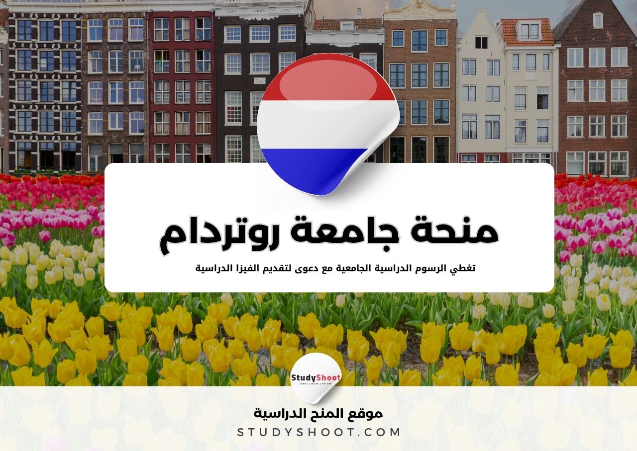منحة جامعة روتردام