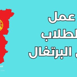 دليل عمل الطلاب في البرتغال: الشروط والرواتب وأهم 5 نصائح