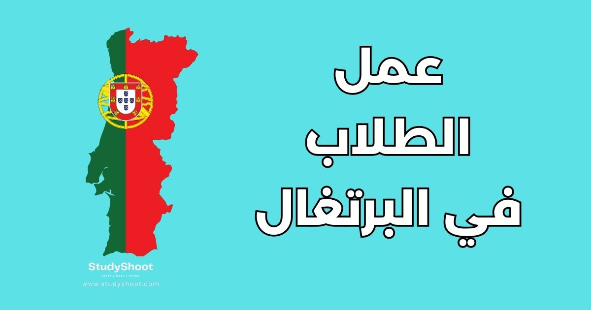 دليل عمل الطلاب في البرتغال: الشروط والرواتب وأهم 5 نصائح
