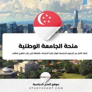 منحة الجامعة الوطنية السنغافورية