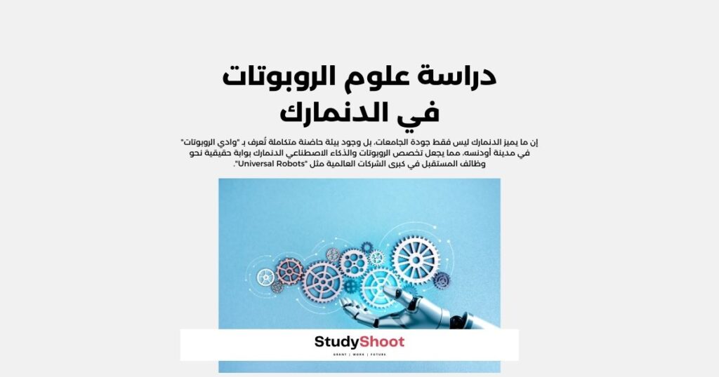 دراسة علوم الروبوتات في الدنمارك