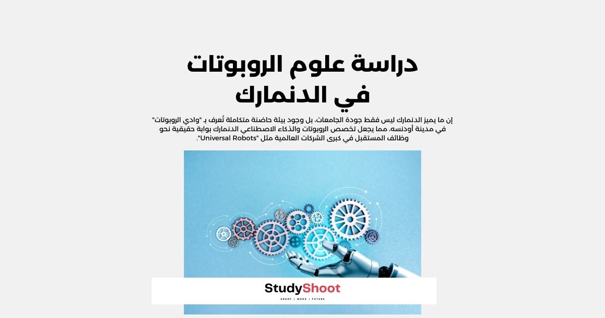 دراسة الروبوتات في الدنمارك