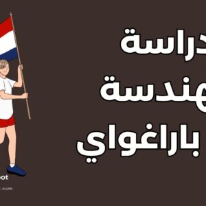 دراسة الهندسة في الباراغواي: أفضل 10 تخصصات وتكاليف