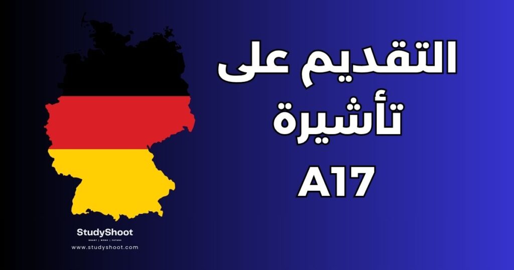 ستودي شووت دليل العمل فيزا A17