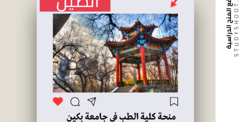 منحة كلية الطب في جامعة بكين