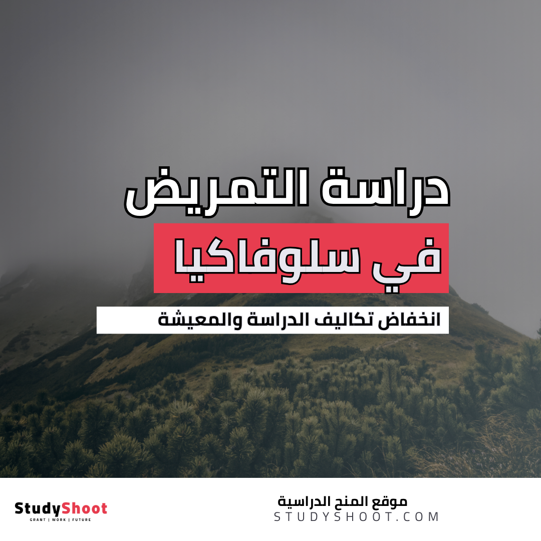 دراسة التمريض في سلوفاكيا