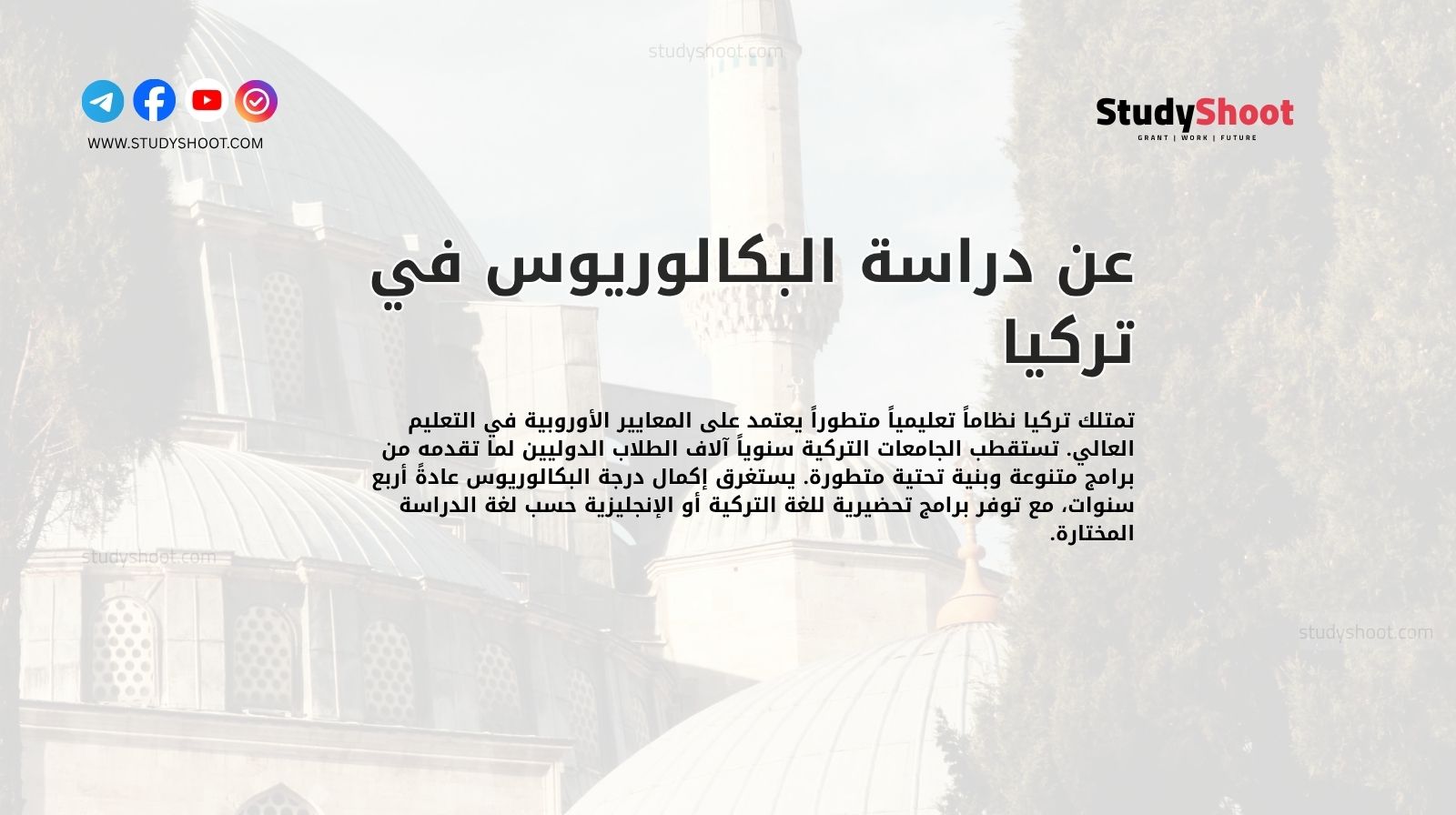 عن دراسة البكالوريوس في تركيا