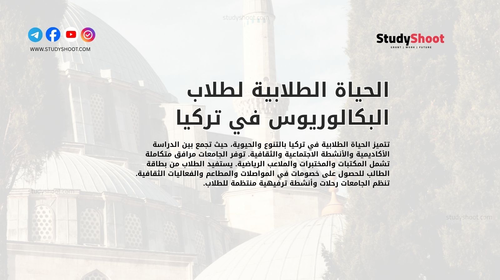 الحياة الطلابية لطلاب البكالوريوس في تركيا