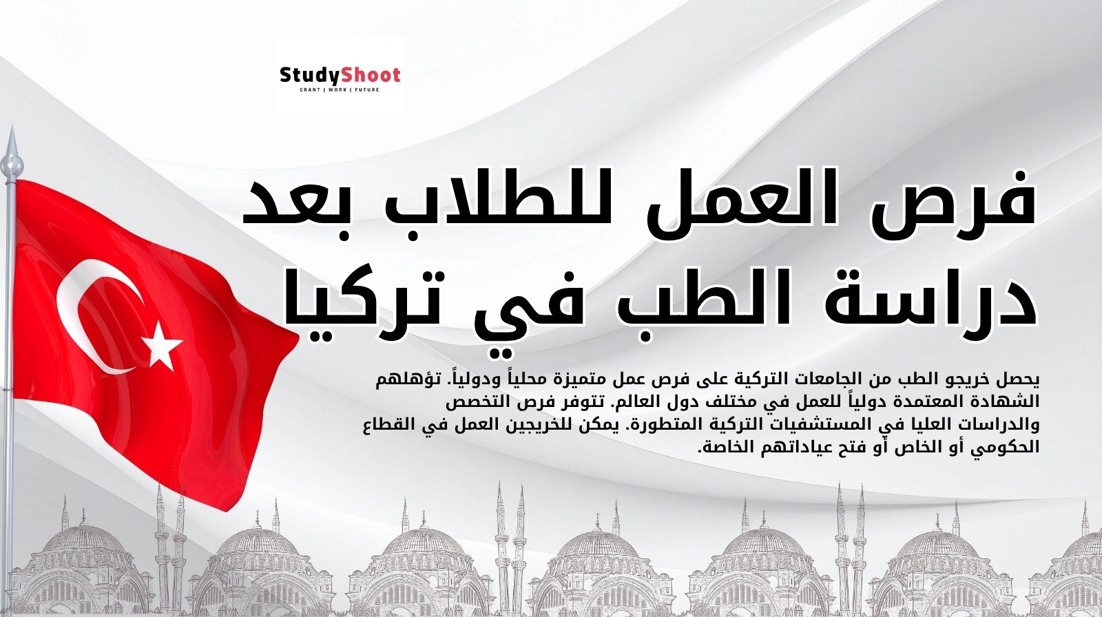 فرص العمل للطلاب بعد دراسة الطب في تركيا