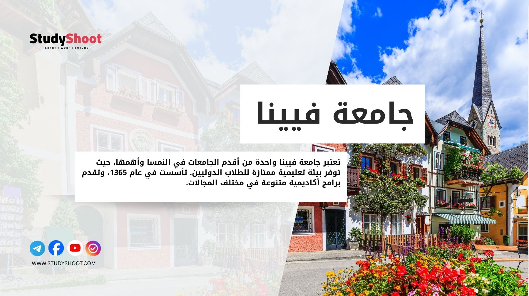 جامعة فيينا