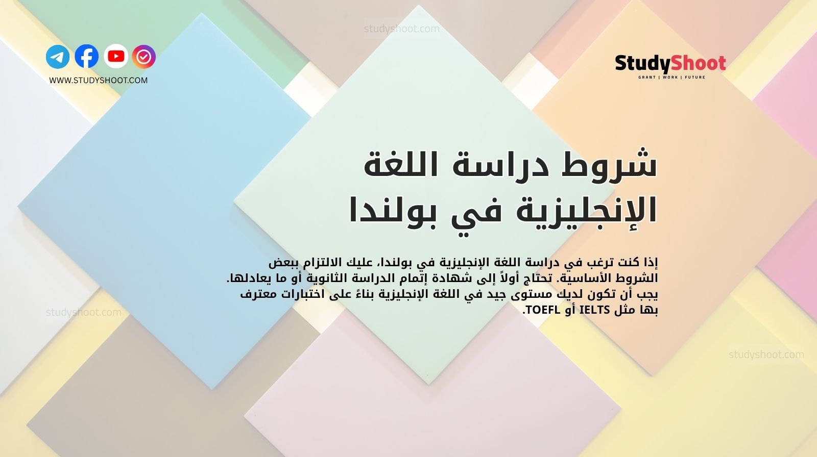شروط دراسة اللغة الإنجليزية في بولندا