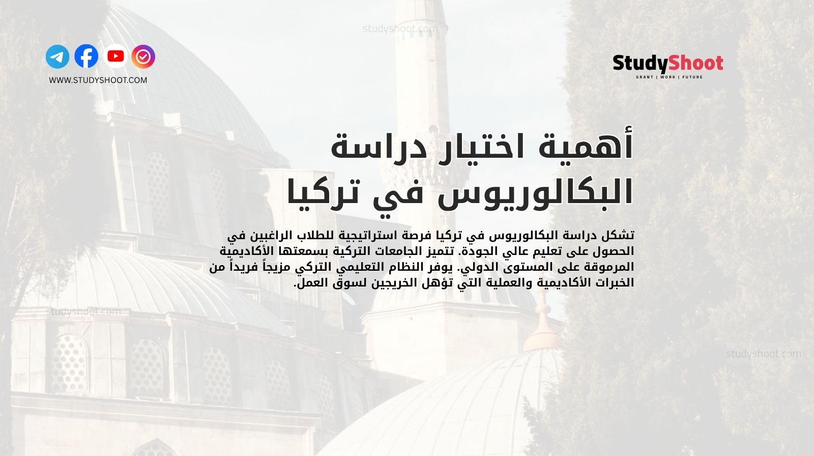 أهمية اختيار دراسة البكالوريوس في تركيا