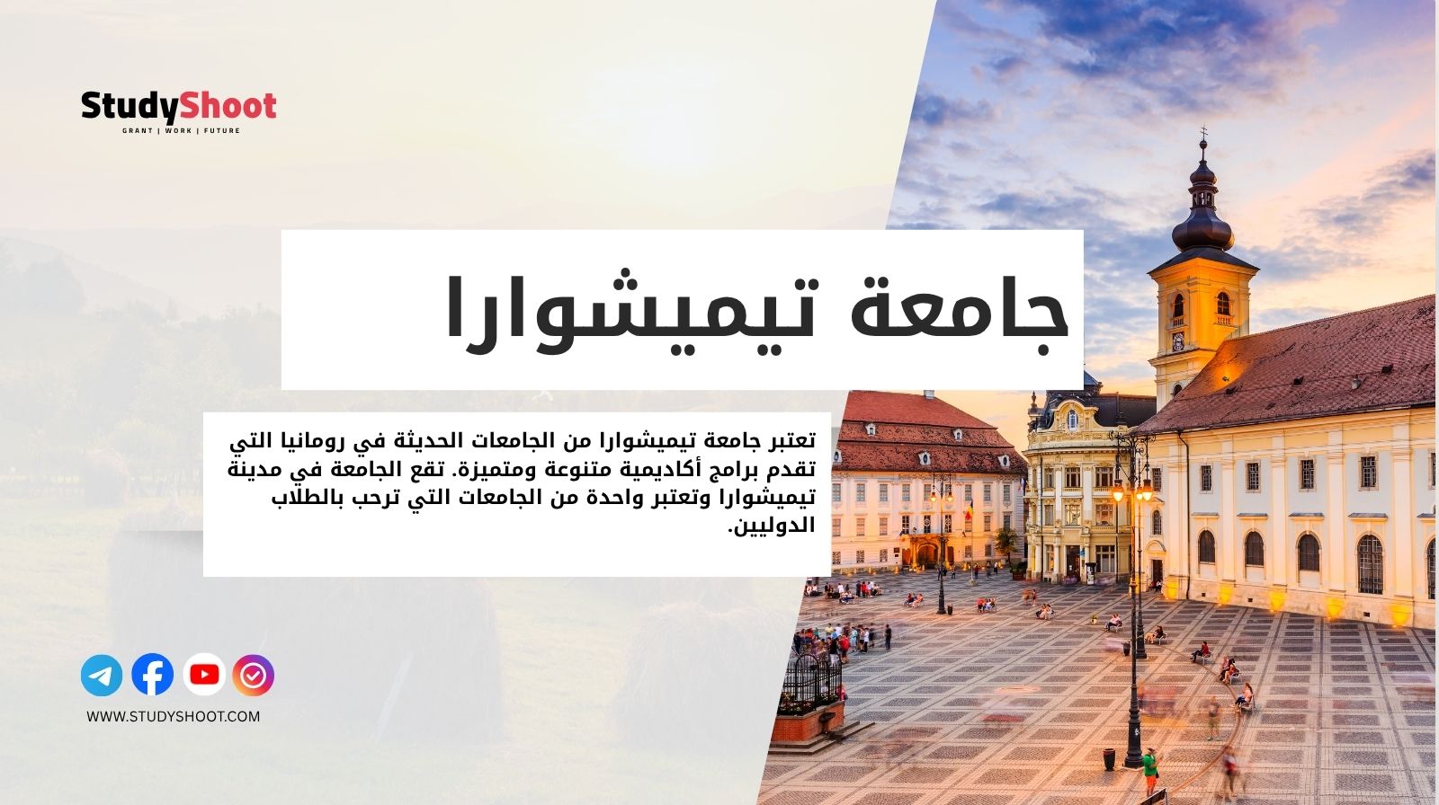 جامعة تيميشوارا