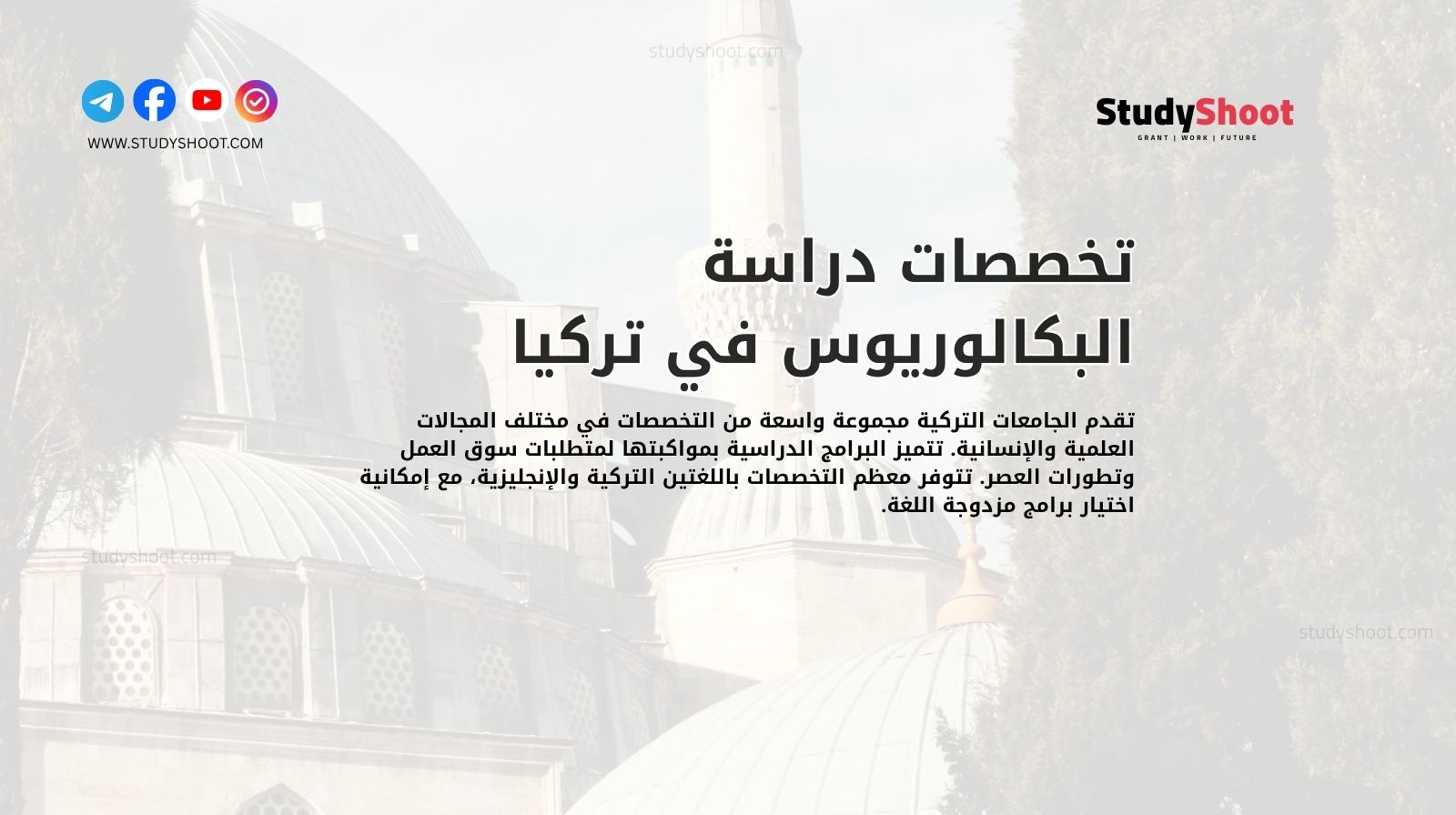 تخصصات دراسة البكالوريوس في تركيا