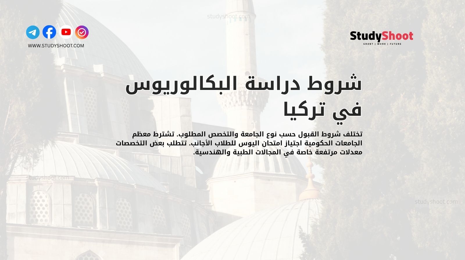 شروط دراسة البكالوريوس في تركيا