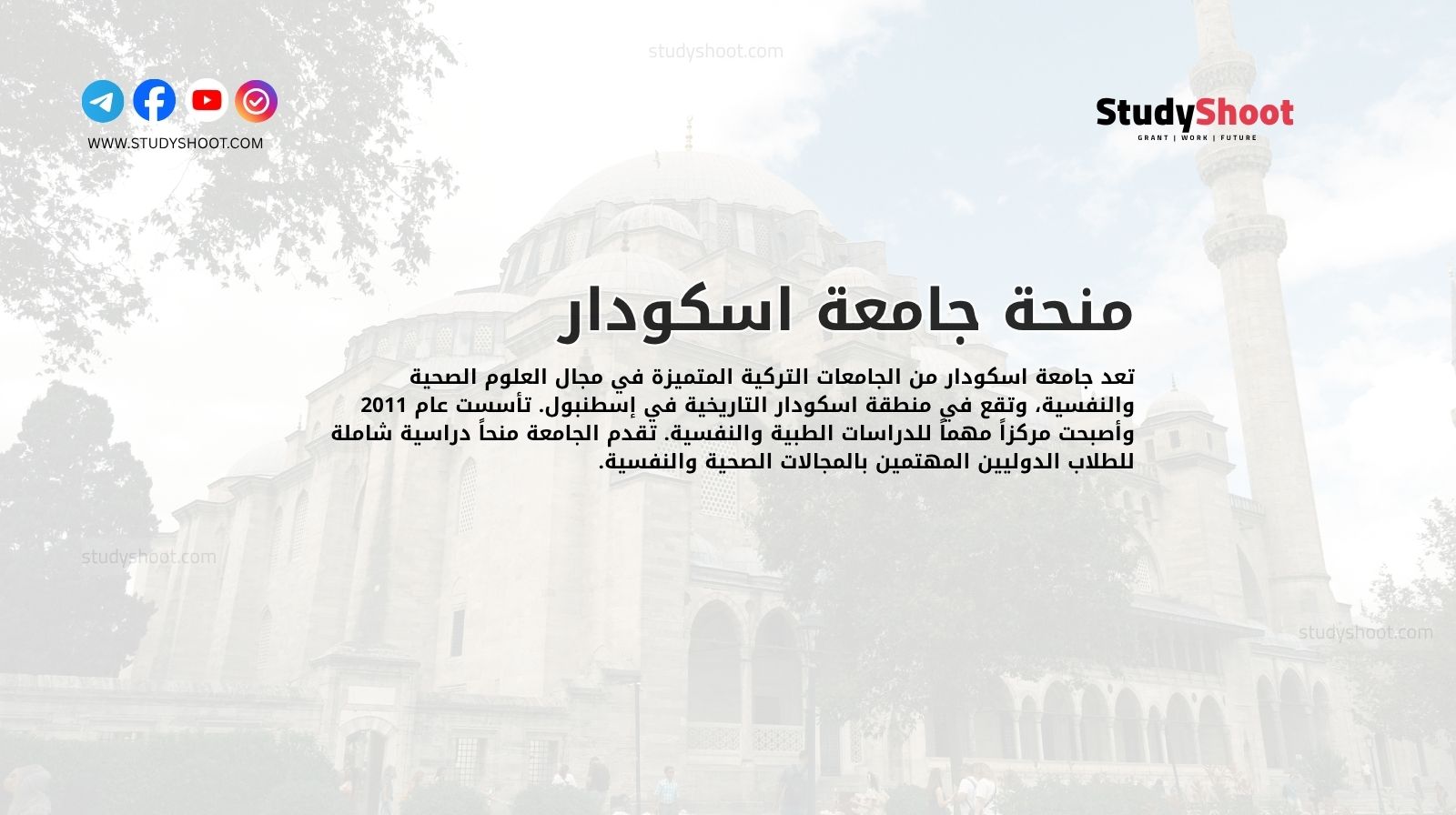 منحة جامعة اسكودار