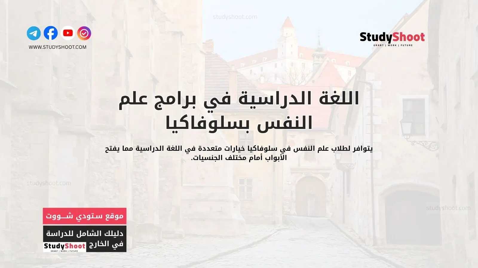 اللغة الدراسية في برامج علم النفس بسلوفاكيا