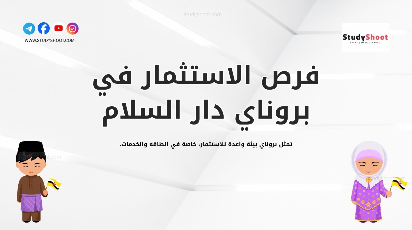 فرص الاستثمار بعد الهجرة إلى بروناي دار السلام