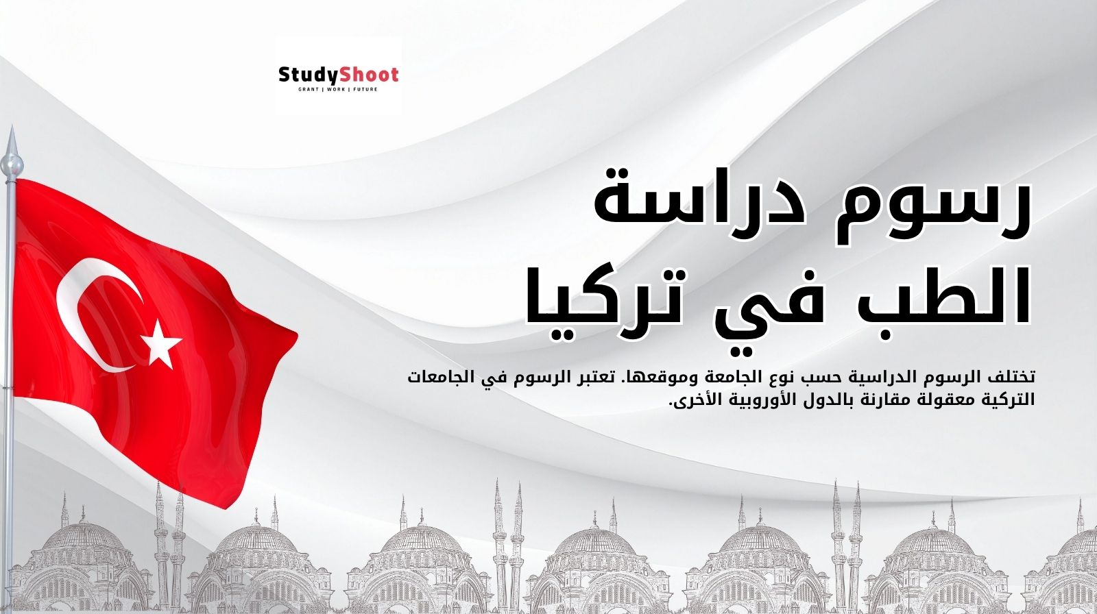 رسوم دراسة الطب في تركيا