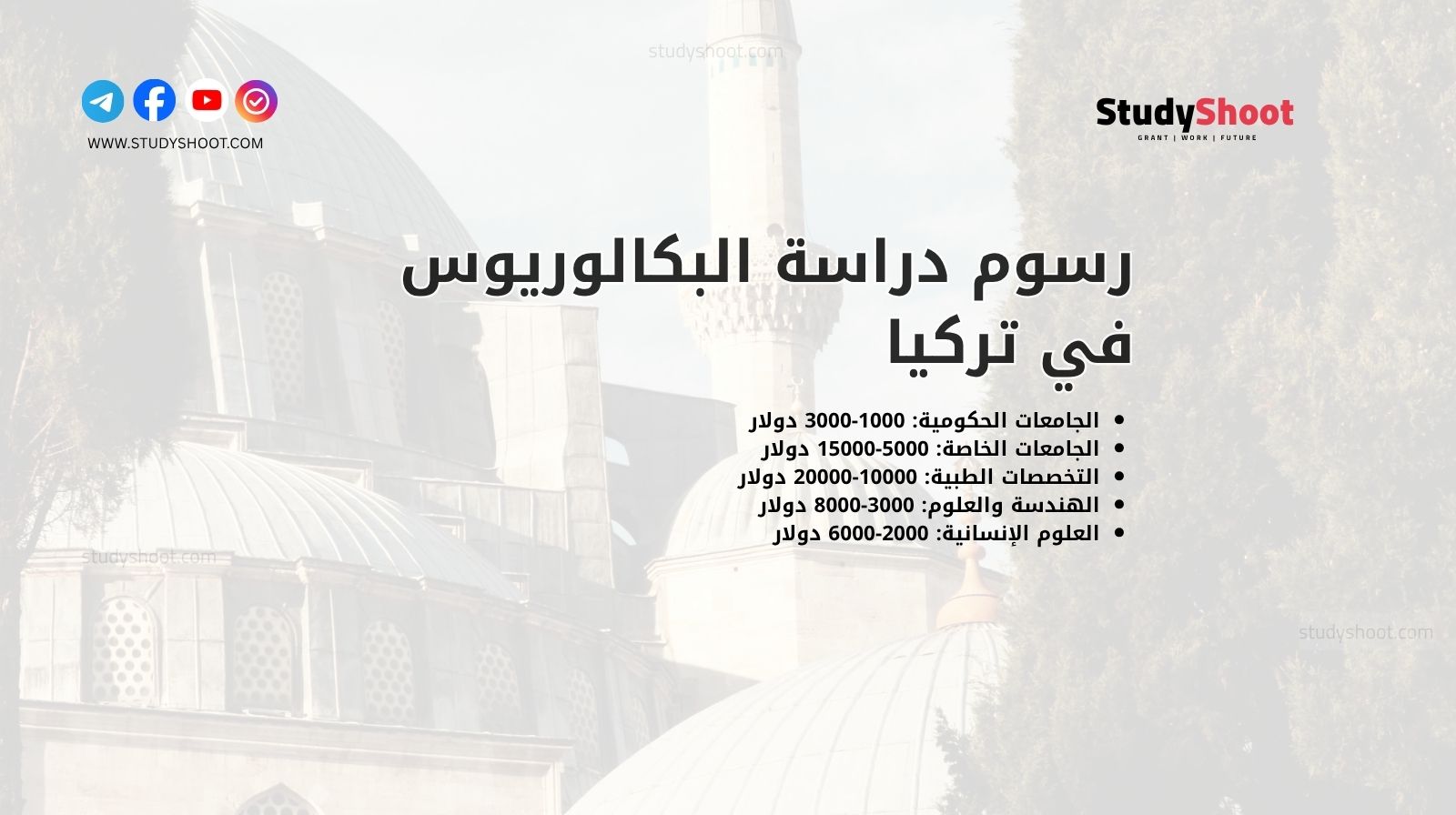 رسوم دراسة البكالوريوس في تركيا