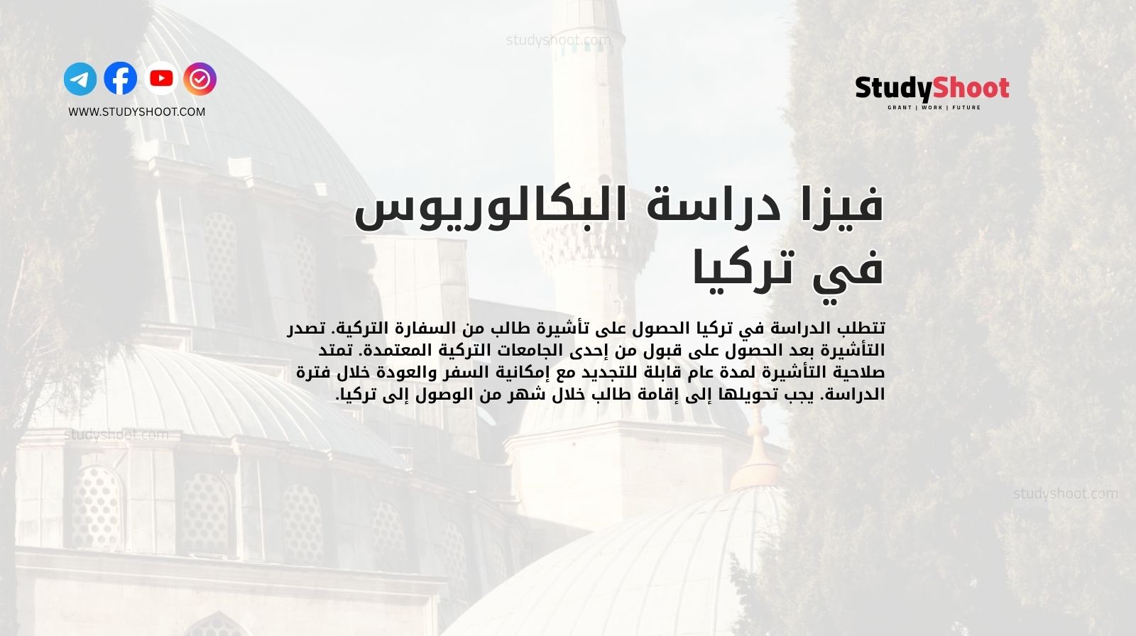 فيزا دراسة البكالوريوس في تركيا